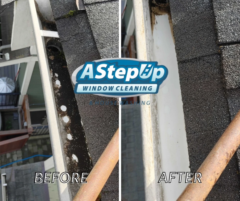 Gutter Cleaning Minneapolis