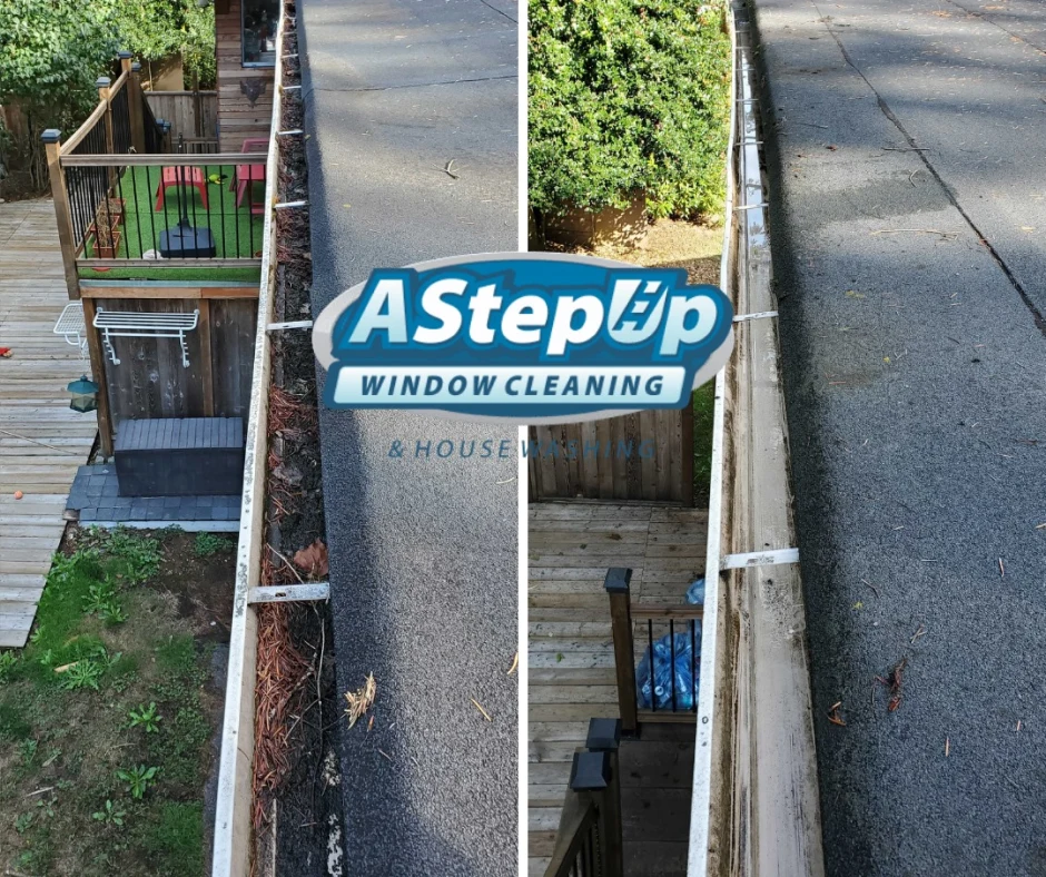 Gutter Cleaning Minneapolis
